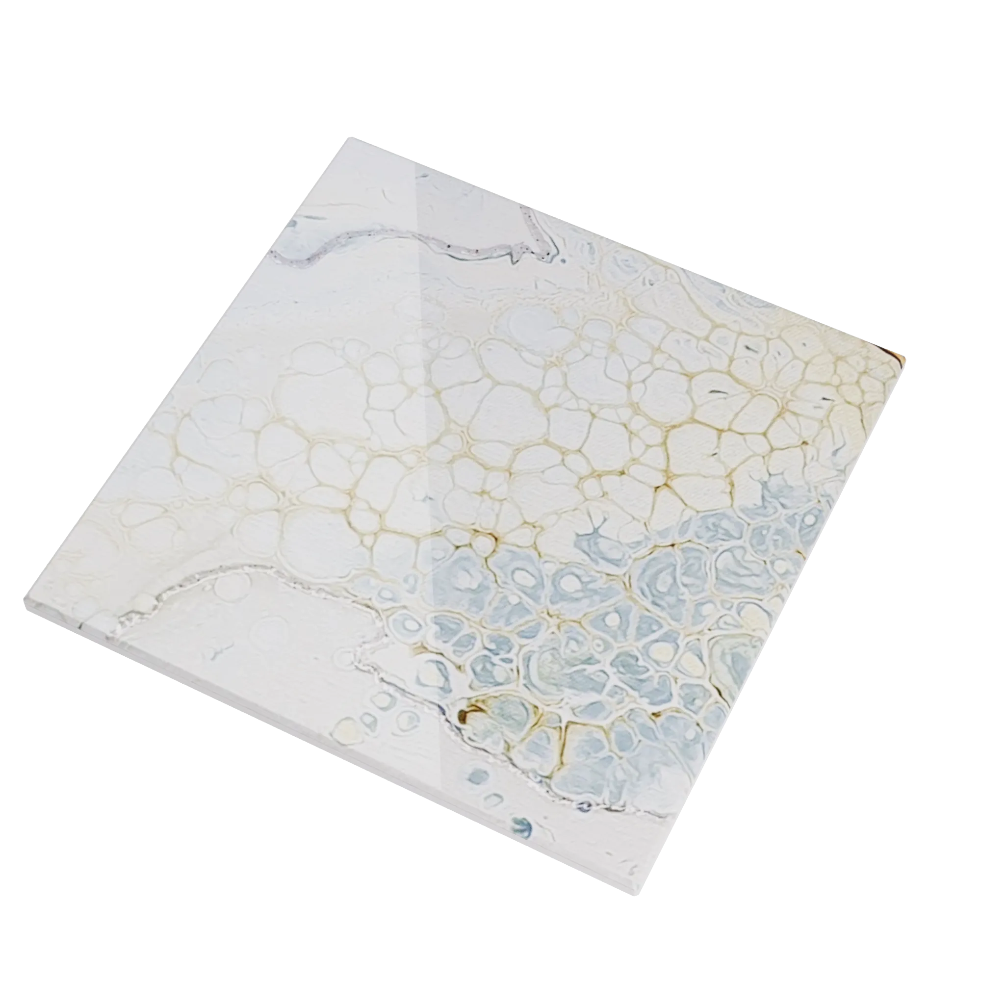 Artist , a Glazed Tile by Ceragni